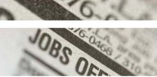 Dream job offers in summer camps Dream job offers