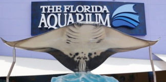Summer Camp at The Florida Aquarium… Florida Aquarium