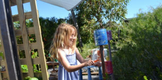 Garden Noisemaker Garden Noisemaker
