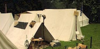 Impacts on Campers Summer camp