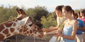 Camp Zoo Camp Zoo