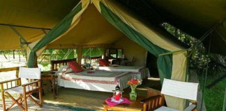 Summer Camp lifestyle could leave an impression