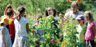 How do you know that you are choosing the right summer camp for your family? Summer Camps For Family