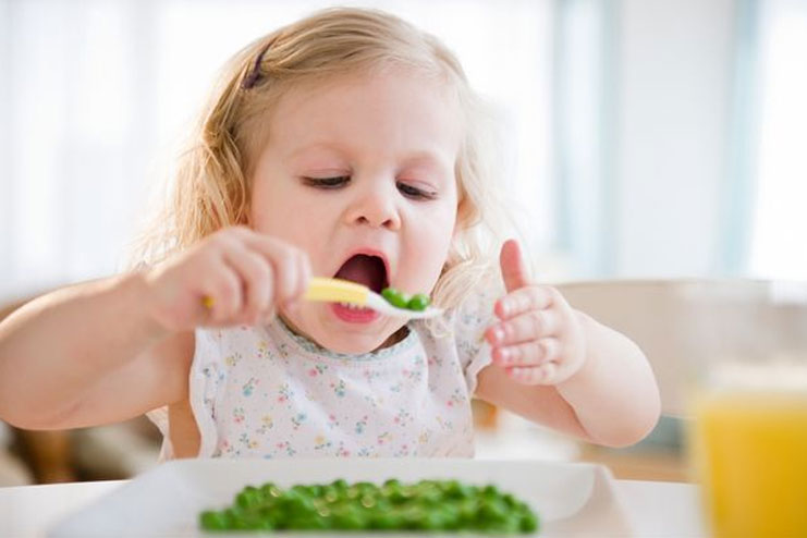 Tips on How to Handle a Fussy eater
