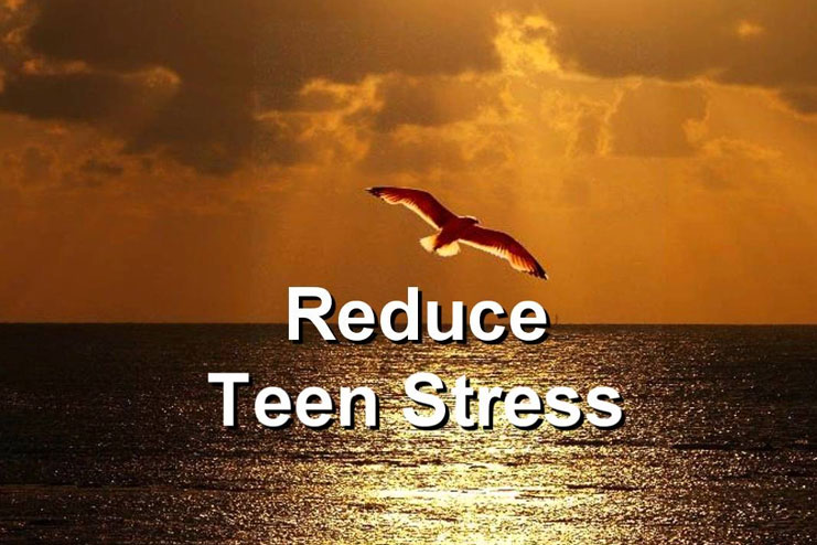 Reduce stress and anxiety