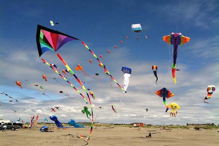 Fly kites