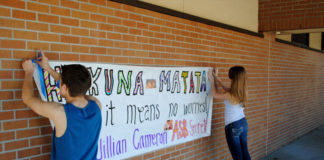 Funny Campaign Ideas For High School campaign ideas for high school
