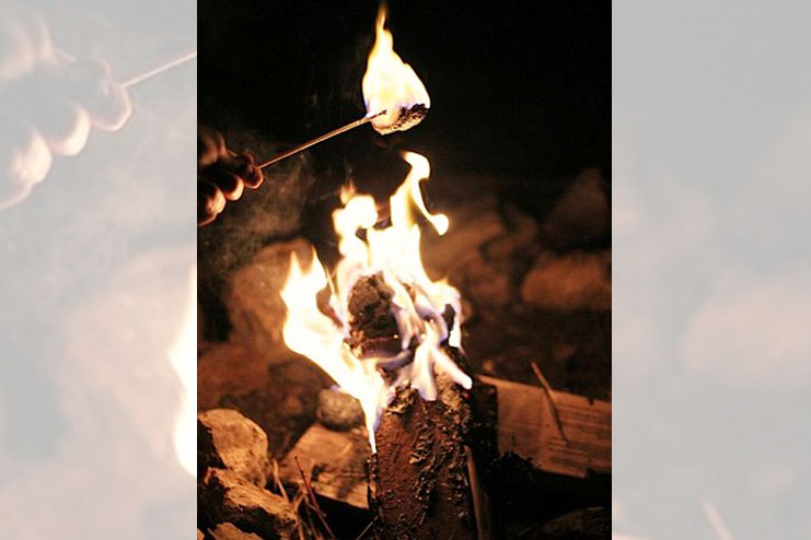 roasting marshmallow sticks