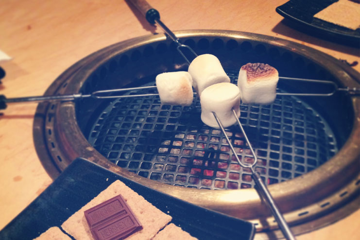 Barbecue and s’mores
