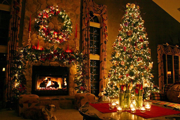 Set up Christmas lights at your home too